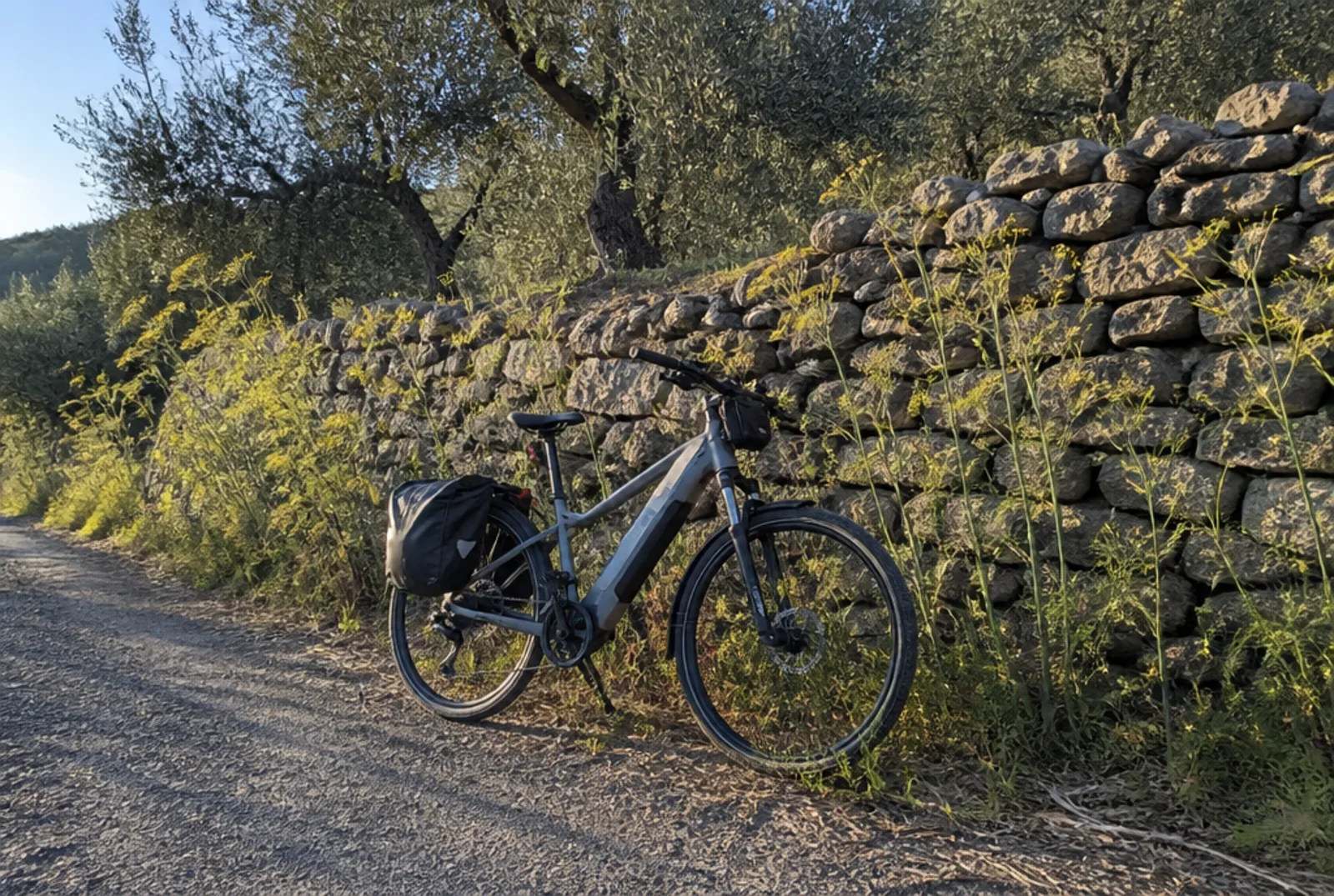 Una bici elettrica appoggiata al muretto a secco fra gli ulivi.