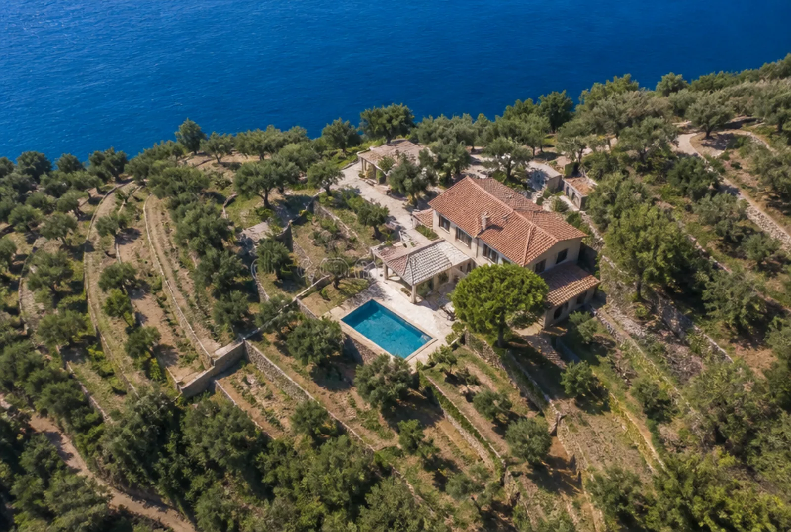 Veduta dall'alto della villa: tetto in coppi, piscina rettangolare, uliveto a fasce chiuse da muri a secco e il mare aperto nella parte alta del quadro